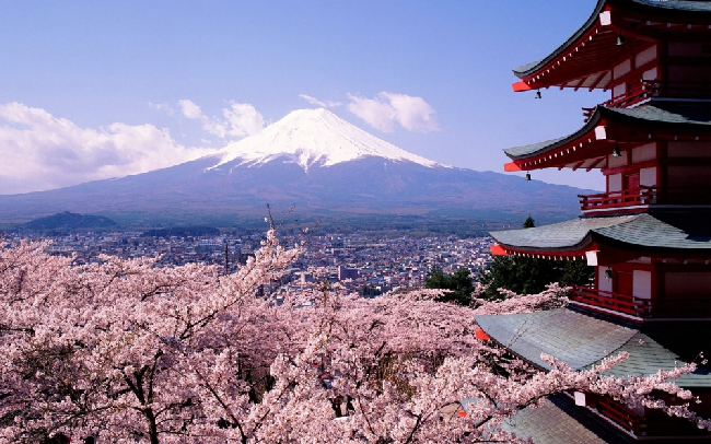  Цветение сакуры и гора Фудзи в Японии