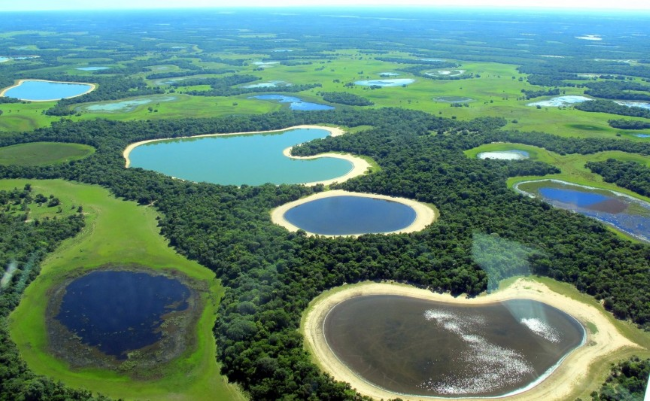  Pantanal Wetlands. Бразилия