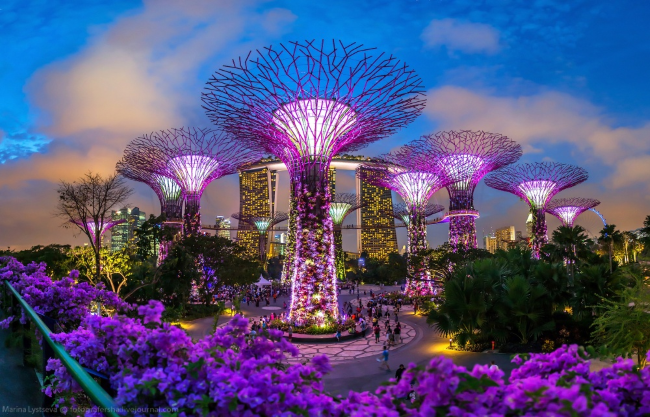  Тропический парк «Сады у залива» днем, Сингапур.