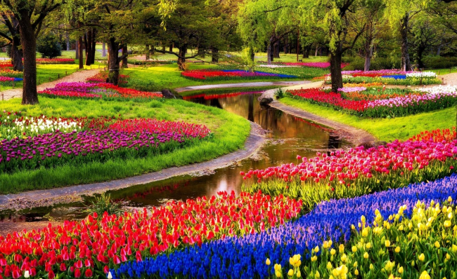 Королевский парк тюльпанов Кёкенхоф, Голландия