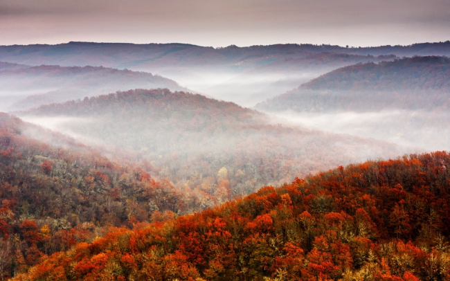 Туман окутал лес вдоль реки Велика, Болгария