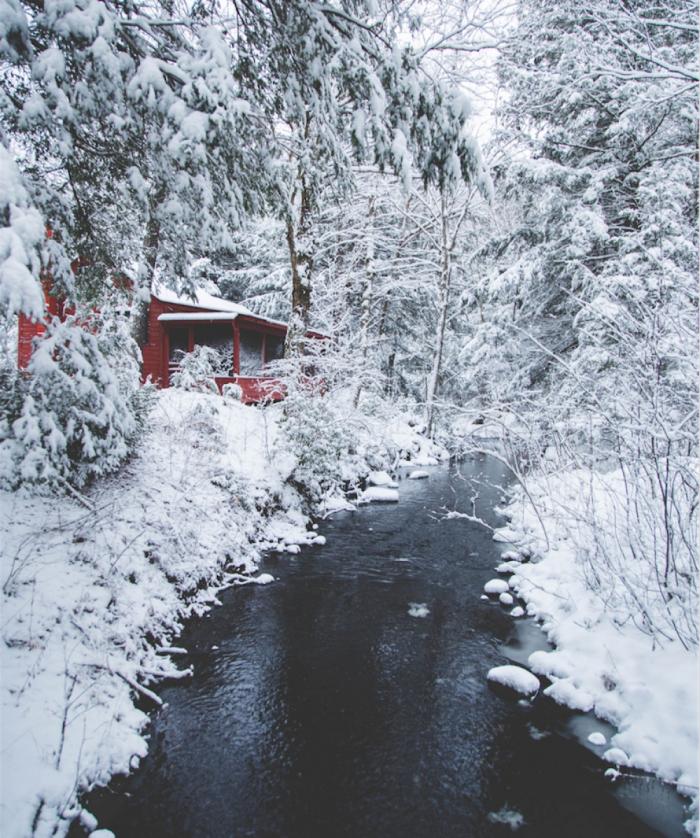   Домик в зимнем лесу, штат Массачусетс, США.