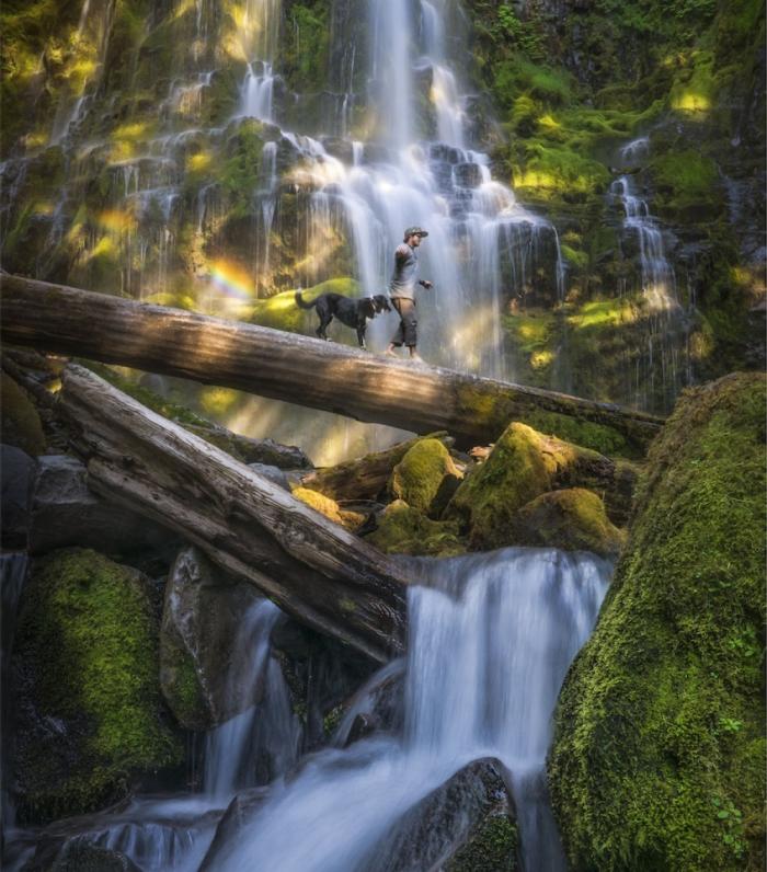   Лесной водопад в Орегоне.