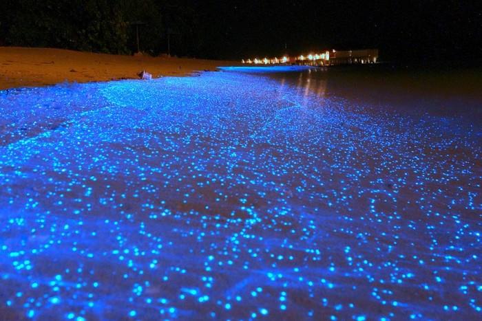  Звездный пляж на Мальдивах
