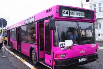 В Турции появятся розовые автобусы для женщин