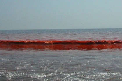 Азовское море стало красного цвета