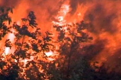 На Канарских островах и в Хорватии по настоящему жарко - пожары