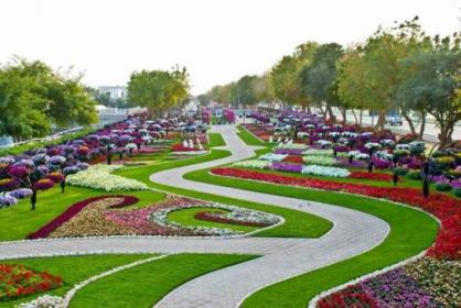 Уникальный цветочный сад открылся в Дубае для туристов