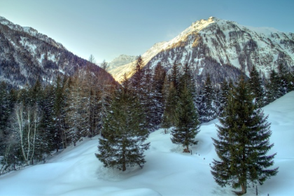 Альпийские курорты завалены снегом