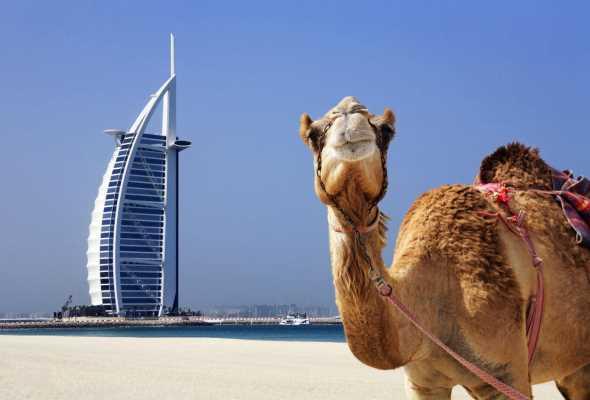 Дубай привлекает новых туристов скидками и необычными маршрутами
