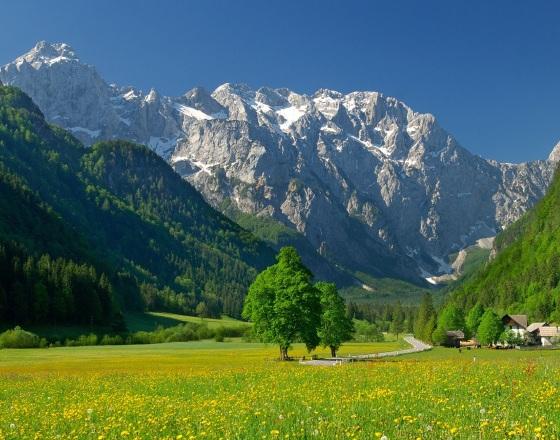 Знакомимся поближе с разнообразием горной Словении!