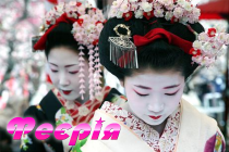 Приглашаем на главный праздник весны в Японии - цветение сакуры. Акционная цена!