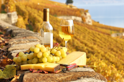 Словакия: вкус вина, фруктовых дистиллятов, сырных деликатесов 
