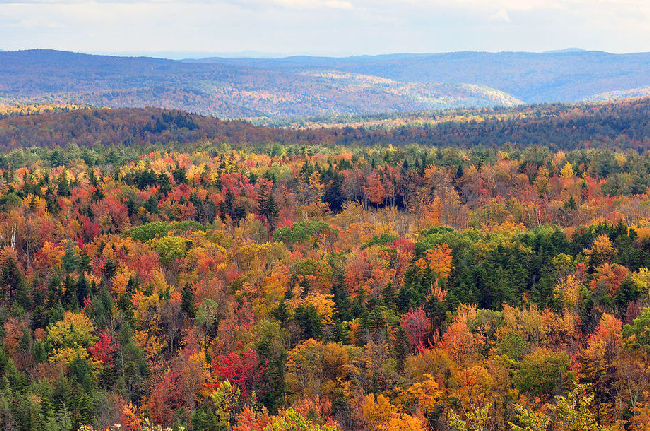 Осенний Вермонт, США 