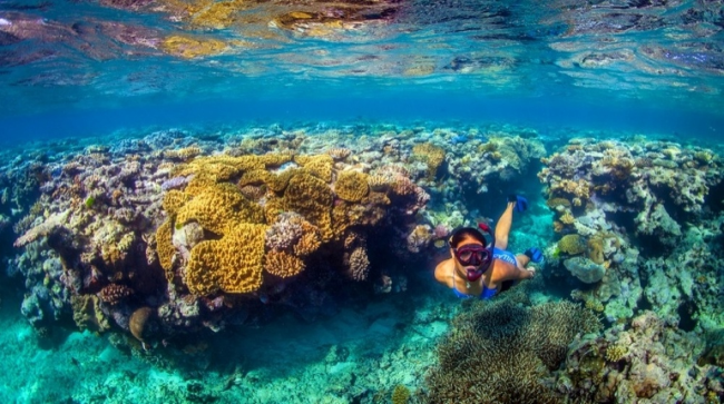   Большой Барьерный риф, Австралия
