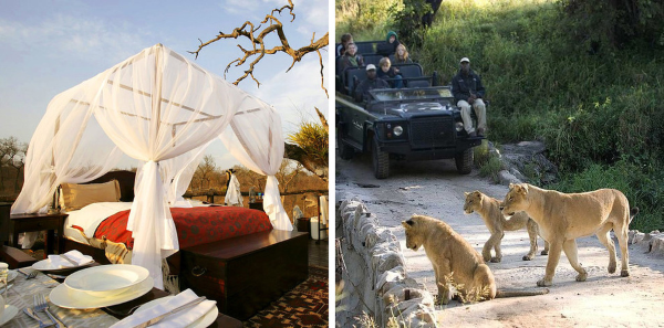  Lion Sands Game Reserve в Южной Африке