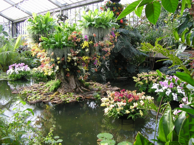 Королевские ботанические сады Кью, Лондон
