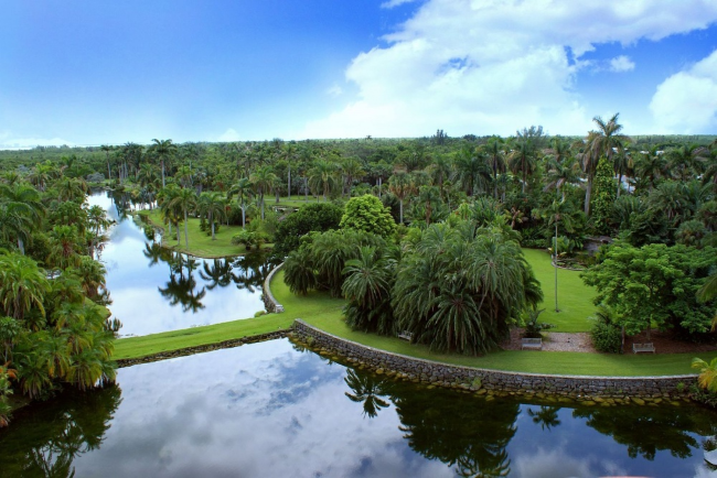 Тропический пальмовый парк, штат Флорида, США