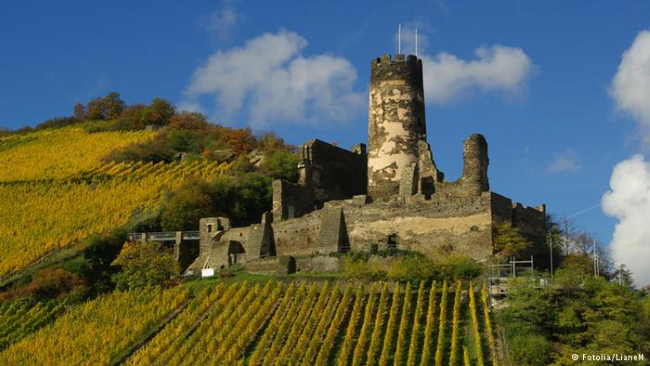 Замок Фюрстенберг - Burg Fürstenberg