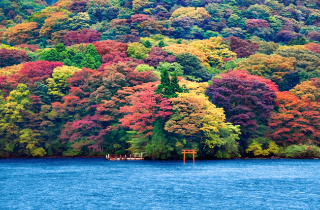 Озеро Аши на фоне разноцветного леса, Хаконе, Япония