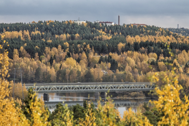 Желто-зеленая картина в Куусанкоски, Финляндия