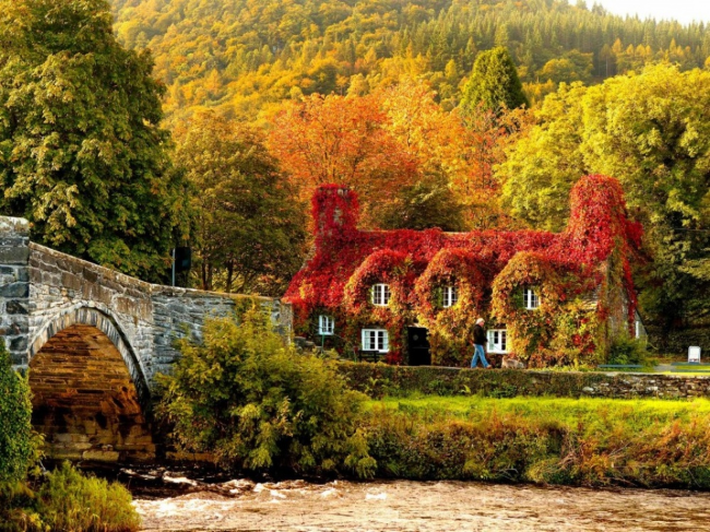 Покрытый листьями дом, Уэльс
