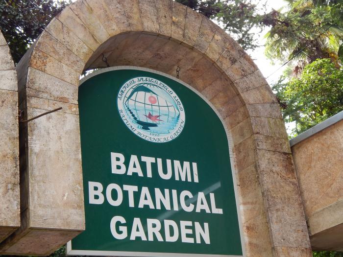 Ботанический сад Батуми 