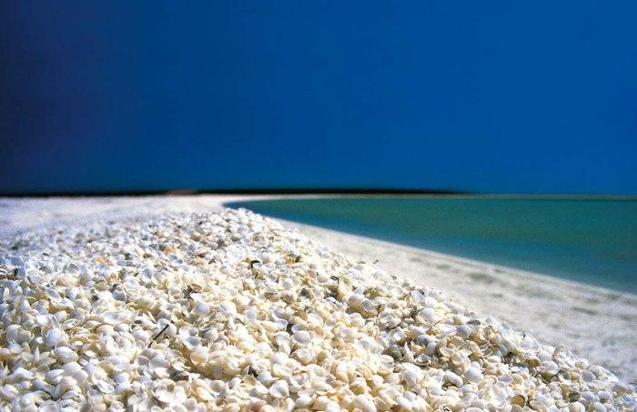 Ракушечный пляж в Австралии