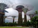 Сингапур. Деревья-гиганты в Садах у залива