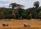 Камбоджп. Археологический парк Ангкор