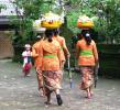 Остров Бали. Храмовая церемония