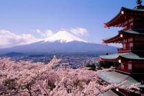 Япония пожалела для туристов 10 тыс. бесплатных авиабилетов