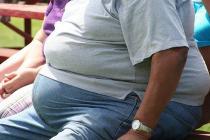 Тучных авиапассажиров могут обязать доплачивать за избыточный вес