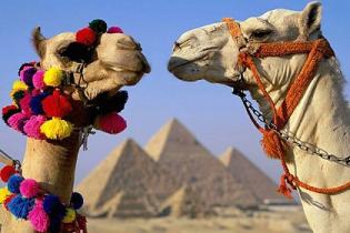 Новые власти Египта планируют улучшить туристический образ страны и не собираются вводить ограничения для туристов