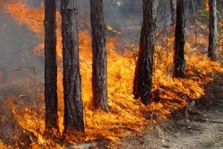 Ялта в дыму - горит почти гектар леса
