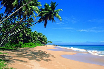 Шри-Ланка - все более популярное направление отдыха