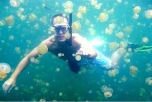 Испанские пляжи закрыты из-за медуз 