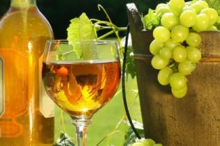 В Крыму планируют развивать винный туризм