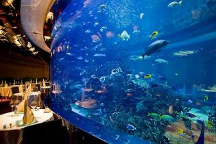 Отель "Burj Al Arab" представил новый роскошный аквариум