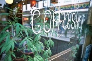 Амстердам: туристам разрешили курить марихуану