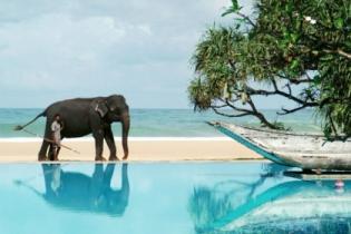Декабрь 2012 стал рекордным по количеству туристов для Шри-Ланки