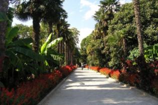 В Никитском ботаническом саду устроят приключения и лазерное шоу