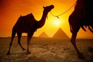 Немецкий концерн TUI возобновляет полёты в Египет