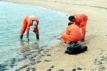 Египет: кувейтский танкер слил нефть в Красное море рядом с Хургадой