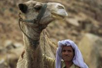Бедуины перекрыли две автотрассы в Египте из-за спора с полицией