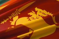 Визы в Шри-Ланку нужно будет заказывать через интернет