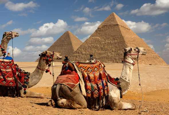 Разрешат ли россиянам чартеры на египетские курорты?