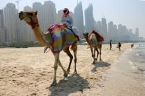 В Дубае штрафуют за ношение слишком откровенных купальных костюмов и за нарушение правил поведения в общественных местах